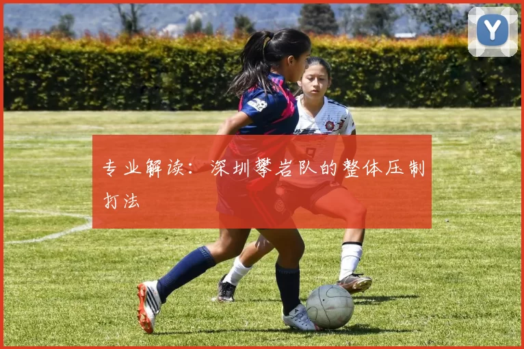 专业解读：深圳攀岩队的整体压制打法