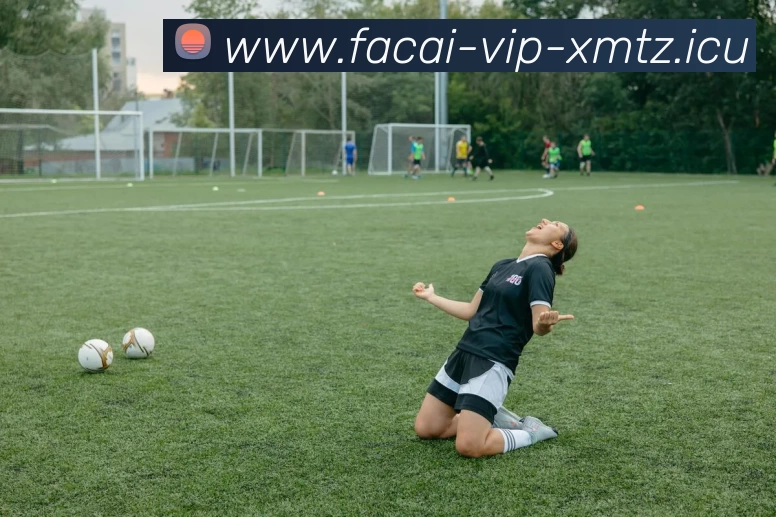 乐鱼体育品牌故事