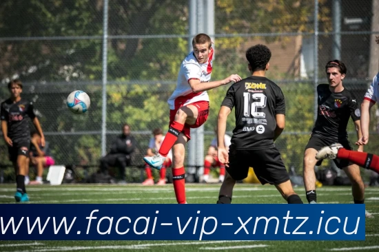 乐鱼体育服务体系